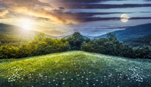 57557317 - trees on hillside of mountain range with coniferous forest and flowers on meadow. composite image day and night with full moon